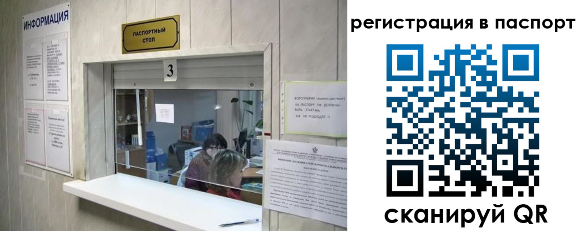 прописка поиск в Новороссийске